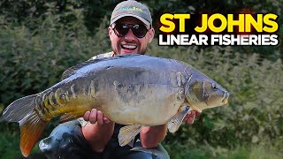 Summer Carp Fishing Vlog At St Johns Lake At Linear Fisheries