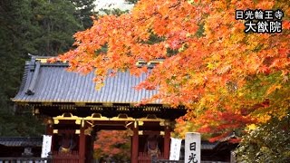 世界遺産「日光の社寺」の紅葉見ごろとライトアップ　Best time of colored leaves and light up of Nikko