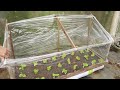 grow twice as fast method of growing vegetables in a mini greenhouse at home