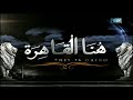 مشادة نارية على الهواء تصل لحد الضرب بسبب إهانة الشعراوي و فريدة الشوباشي تنسحب