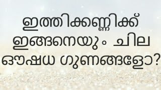 ഇത്തിക്കണ്ണി