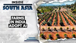 Artificial Intelligence In Agriculture: The India Growth Story | Inside South Asia | WION