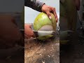 Crazy speed fresh coconut cutting skill #streetfood #shorts #viral #coconut #asmr