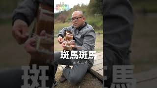 宋冬野 - 斑馬.斑馬 COVER 翻唱【#憲樂錄音室​】 藝人網紅操盤 | 免費影音15秒 【#憲樂Shorts】#Shorts