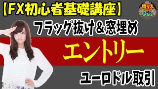 【初心者必見】ユーロドルフラッグ抜け、窓埋めからのエントリーについて【投資家プロジェクト億り人さとし】