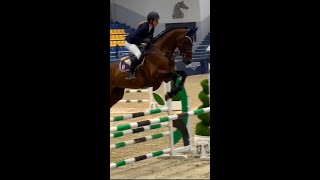 Funny Horses Show Strength Try Not To Laugh It's Really Strongest Horse Funny Video 2022 # 41