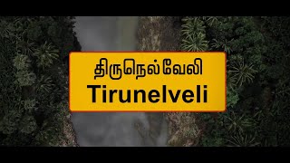 திருநெல்வேலி மாவட்ட மக்களின் குறைகள் | Grievances of Tirunelveli District People