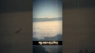 আমি একদিন মরে জাবো 😭😭😭🥲🙏 Islamic video #islamic #shorts #music #trendingshorts