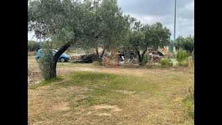 Terreno Agricolo in Vendita a Lamezia Terme (CZ)