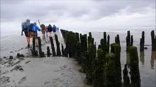 Walking Series  - Hiking the Mudflats