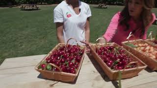 How to Pick the Perfect Cherry | California Live | NBCLA