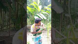 এমন বলদ কি কেউ দেখছেন #viral #shortvideo #funny #comedy #foryou #youtube #shorts