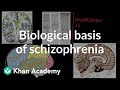 Biological basis of schizophrenia | Behavior | MCAT | Khan Academy