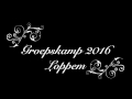 teaser groepskamp loppem 2016