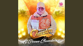 El Perreo Chacalonero