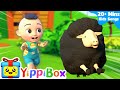 Ba Ba Ba Ba Black Sheep Song | Baa Baa Black Sheep + more | YippiBox Nursery Rhymes and Baby Songs