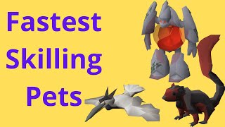 Fastest Skilling Pets (OSRS 2020) Best to 99 and Post 99