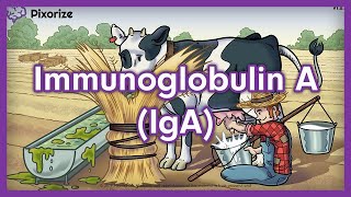 Immunoglobulin A (IgA) USMLE Mnemonic