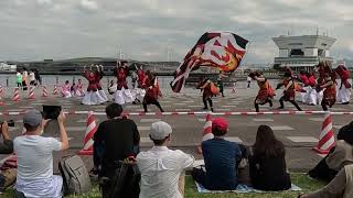 横浜よさこい祭り2022 東京農業大学YOSAKOIソーラン同好会 百笑