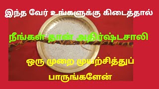 இந்த வேர் உங்களுக்கு கிடைத்தால் நீங்கள் தான் அதிர்ஷ்டசாலி ஒருமுறை முயற்சித்துப் பாருங்களேன்