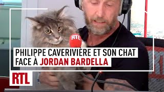 Philippe Caverivière de retour avec son chat Snatch face à Jordan Bardella