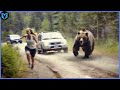 When Bears Go On A Rampage Caught on Camera!