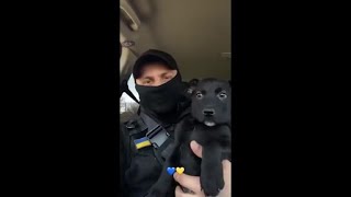 Ucraina, in un video alcuni degli animali salvati dall'esercito di Kiev