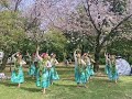 🌸桜の季節 フラピクニックin久宝寺緑地公園