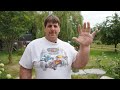 The Biggest Hands In The World With Jeff Dabe #shorts