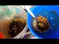 unique jhal muri maker bangladeshi street food bd street food of khulna bangali street food