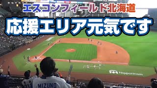 【ファイターズ】大声を出すって身体に凄くいいんですよ！エスコンフィールド北海道の応援エリアはまだ人が少なくて寂しいですが凄く元気です！【日ハム】