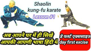 shaolin kung fu training कुंग फू प्रशिक्षण शाओलिन कुंग फू प्रशिक्षण मार्शल आर्ट #kungfu #karate #1