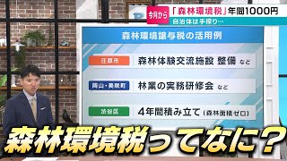 1人1000円の「森林環境税」は何に使われるの？｜森の無い自治体は「ストック」