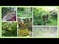 conférence sur le jardin forêt de fabrice desjours