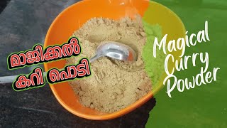 MAGICAL Curry Powder | ഒരു മാന്ത്രിക കറിപൊടി