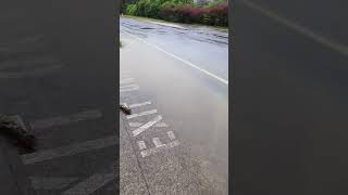 FLOODING in AUCKLAND!!! 2023 27TH JANUARY 1/3