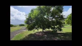 괌 씨씨피 골프장 가격정보. 카트잔디가능 guam CCP golf (country club of the Pacific)