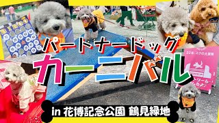 【犬イベント】パートナードッグカーニバルのビンゴ大会💚抽選会で大当たり！愛犬トルテ視聴者さんにも会えたよ🐶💕【花博記念公園 鶴見緑地】（トイプードルのTorte channel)