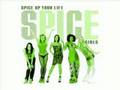 spice girls:viva for ever