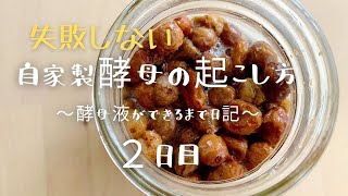 成功する自家製酵母の起こし方【２日目】ポイントを詳しく解説　natural yeast Yeast water