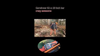 Garwinner 6220 vs  pignut hickory#chainsaw #thewoodguy