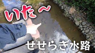 【サクマカさんぽ#04】ザリガニの方が罰ゲーム？／佐久間一行