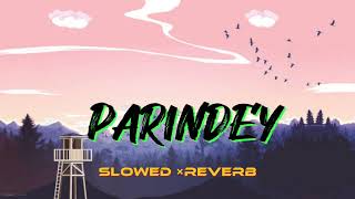 Parindey - B Praak | Slowed×Reverb | Gippy Grewal , Sargun Mehta & Roopi Gill | Avvy Sra