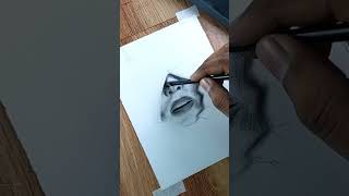 Realistic Drawing / Nose and Lips Drawing / Pencil Drawing #shorts #art #drawing #youtubeshorts