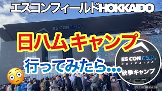 エスコンフィールドで日ハムキャンプ⚾️まさかこんなに凄いとは！😳