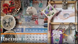 Цветная неделя 5 // Текущие процессы. Покупки // 25.08.2022 - 31.08.2022 // Вышивка крестом