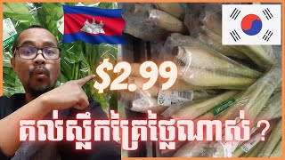 តោះមកមើលតម្លៃបន្លែនៅប្រទេសកូរ៉េ | Khmer in Korea | The price of vegetables in Korea | BUN SOPHAT