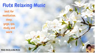 Flute Relaxing Music for Meditation/ Calm/ Spa/ Yoga/ Sleep/ #calm, #fluterelaxingmusic, #spa, #yoga