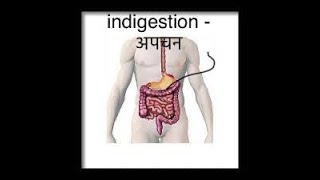 INDIGESTION   /     अपचन