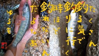 【渓流釣り】ルアーでイワナ釣る気マンマンでしたが返り討ちに合いました 2023.06.21